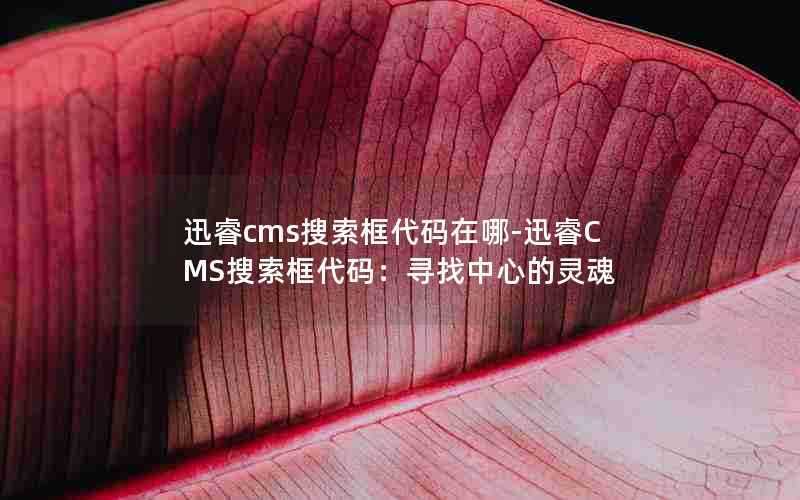 迅睿cms搜索框代码在哪-迅睿CMS搜索框代码：寻找中心的灵魂