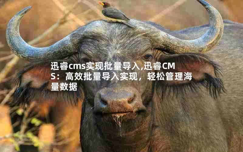 迅睿cms实现批量导入,迅睿CMS：高效批量导入实现，轻松管理海量数据