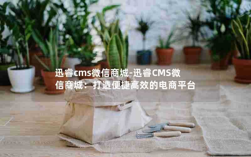 迅睿cms微信商城-迅睿CMS微信商城：打造便捷高效的电商平台