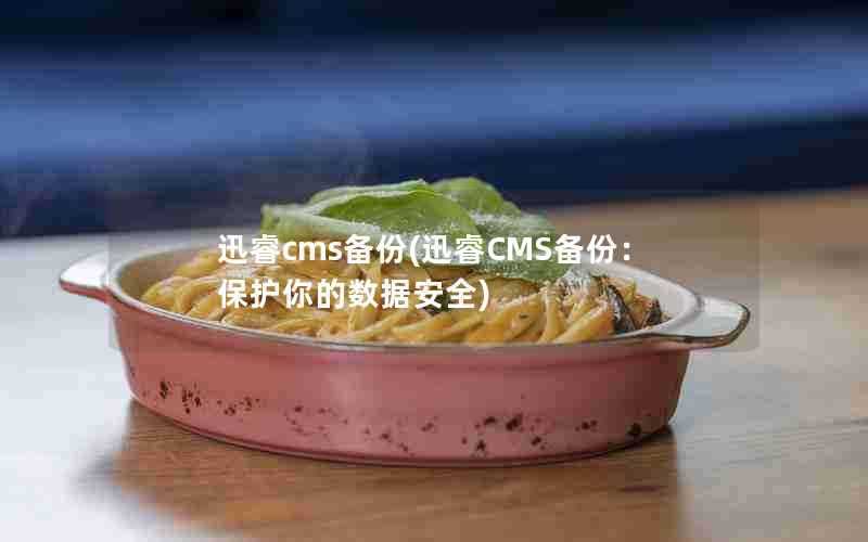 迅睿cms备份(迅睿CMS备份：保护你的数据安全)