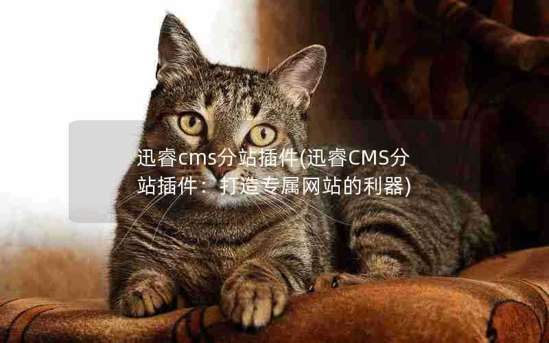 迅睿cms分站插件(迅睿CMS分站插件：打造专属网站的利器)