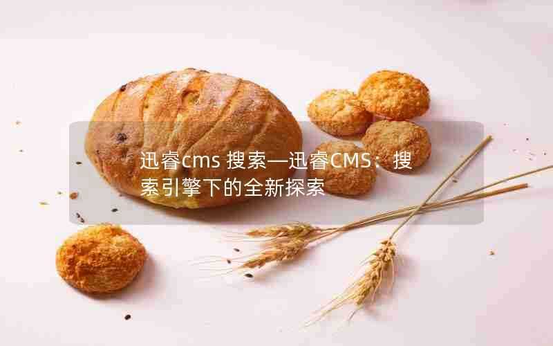 迅睿cms搜索—迅睿CMS：搜索引擎下的全新探索