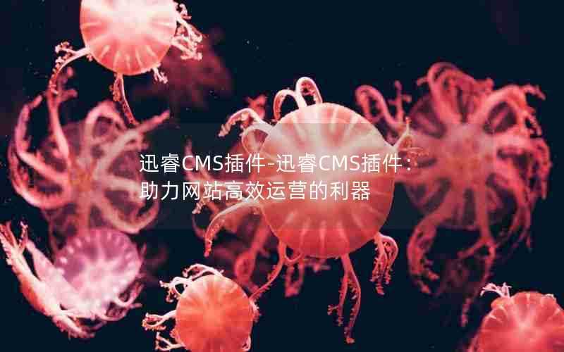 迅睿CMS插件-迅睿CMS插件：助力网站高效运营的利器