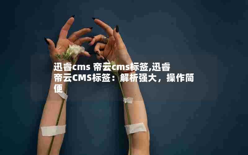 迅睿cms帝云cms标签,迅睿帝云CMS标签：解析强大，操作简便