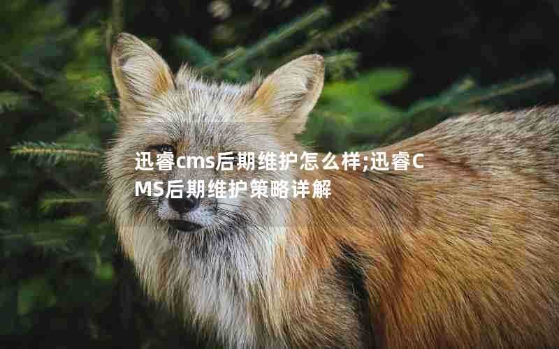 迅睿cms后期维护怎么样;迅睿CMS后期维护策略详解