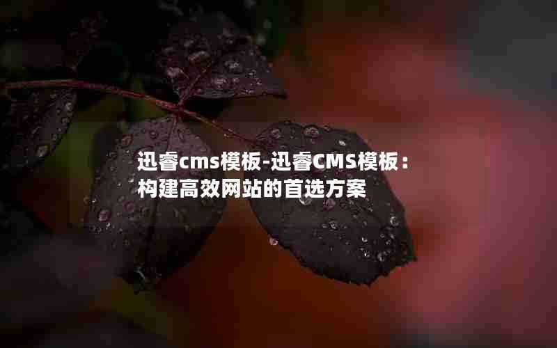 迅睿cms模板-迅睿CMS模板：构建高效网站的首选方案