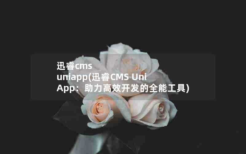 迅睿cmsuniapp(迅睿CMSUniApp：助力高效开发的全能工具)