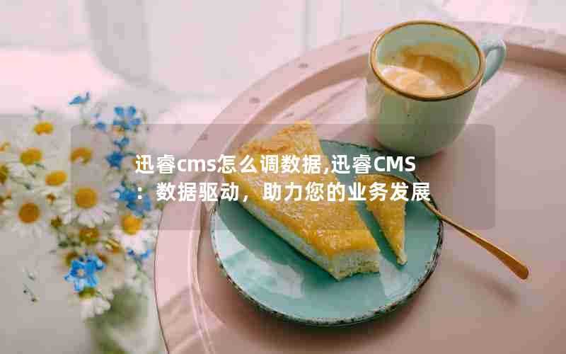 迅睿cms怎么调数据,迅睿CMS：数据驱动，助力您的业务发展