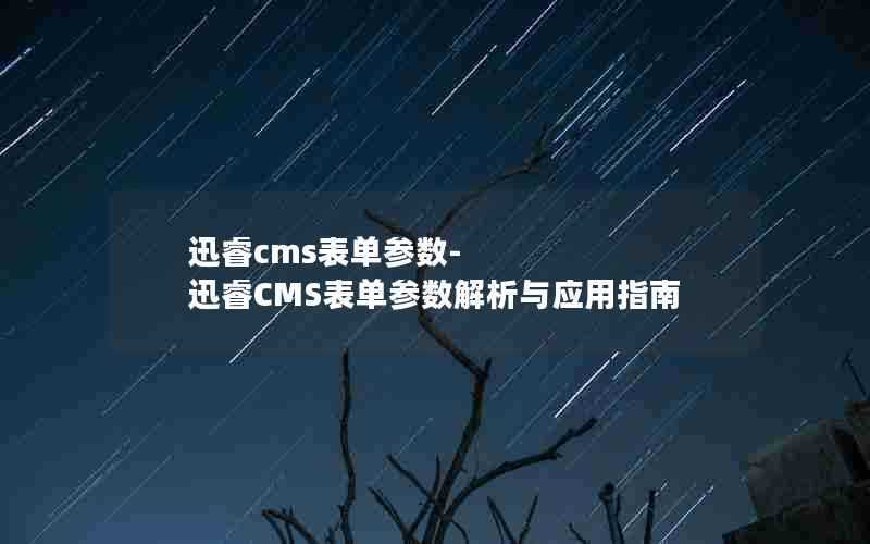 迅睿cms表单参数-迅睿CMS表单参数解析与应用指南