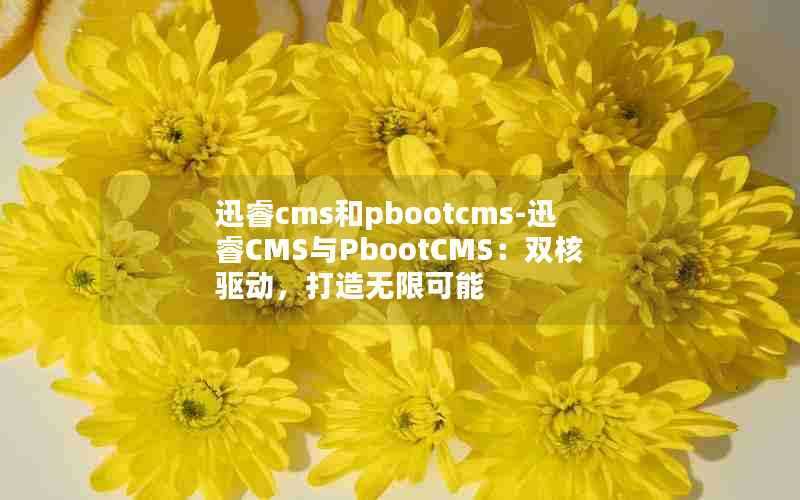 迅睿cms和pbootcms-迅睿CMS与PbootCMS：双核驱动，打造无限可能