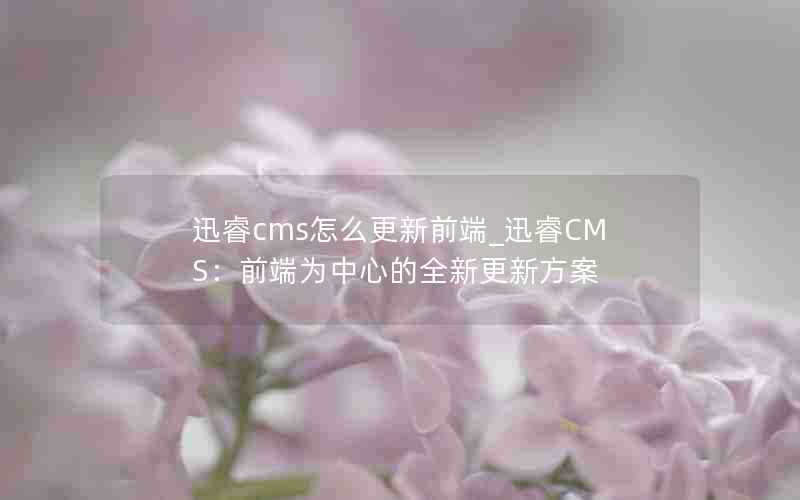 迅睿cms怎么更新前端_迅睿CMS：前端为中心的全新更新方案