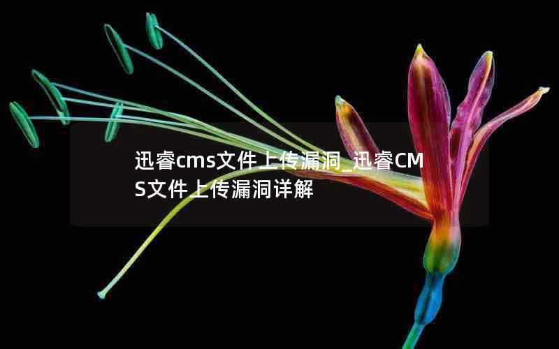 迅睿cms文件上传漏洞_迅睿CMS文件上传漏洞详解