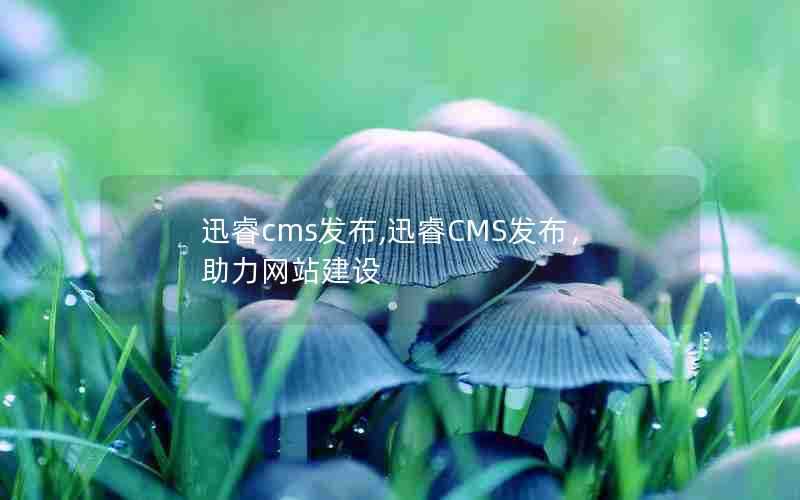 迅睿cms发布,迅睿CMS发布，助力网站建设