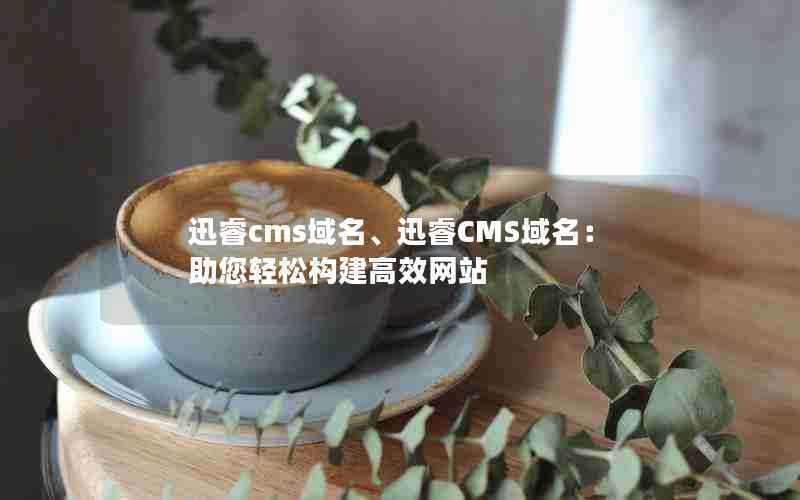 迅睿cms域名、迅睿CMS域名：助您轻松构建高效网站