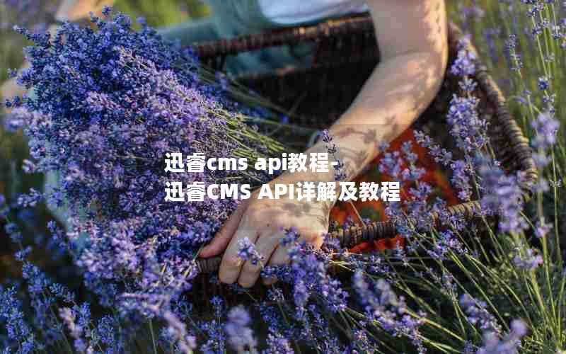 迅睿cmsapi教程-迅睿CMSAPI详解及教程