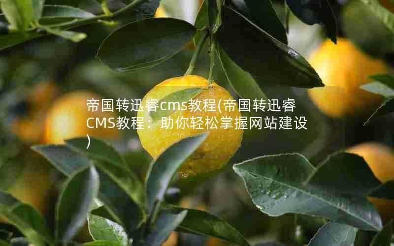 帝国转迅睿cms教程(帝国转迅睿CMS教程：助你轻松掌握网站建设)