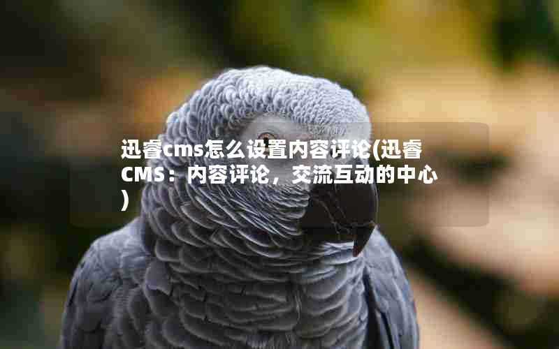 迅睿cms怎么设置内容评论(迅睿CMS：内容评论，交流互动的中心)