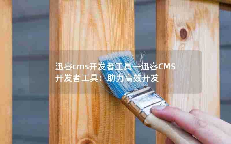 迅睿cms开发者工具—迅睿CMS开发者工具：助力高效开发