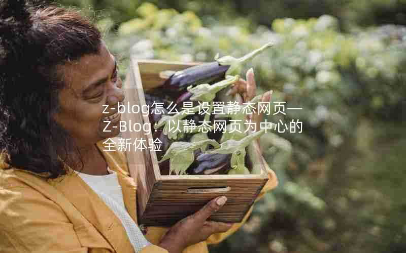 z-blog怎么是设置静态网页—Z-Blog：以静态网页为中心的全新体验