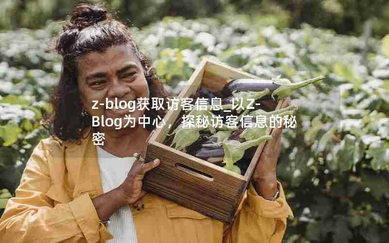 z-blog获取访客信息_以Z-Blog为中心，探秘访客信息的秘密