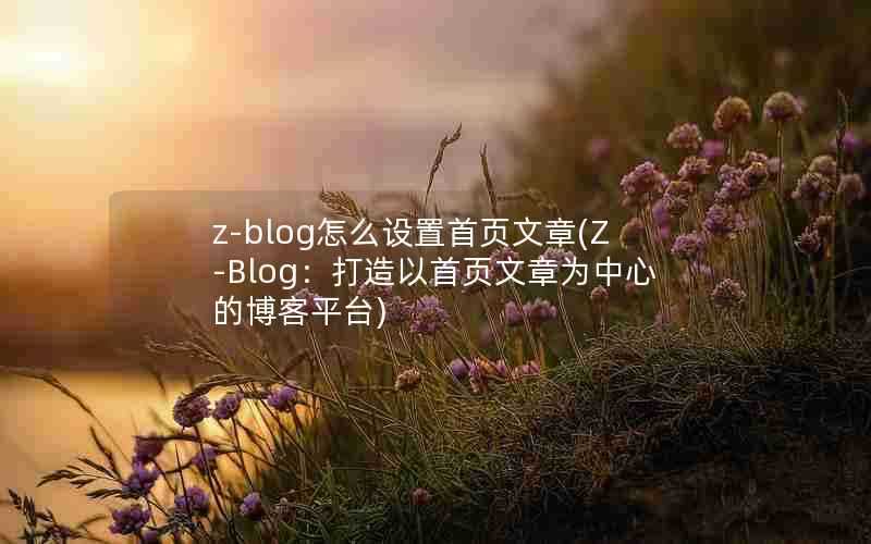 z-blog怎么设置首页文章(Z-Blog：打造以首页文章为中心的博客平台)