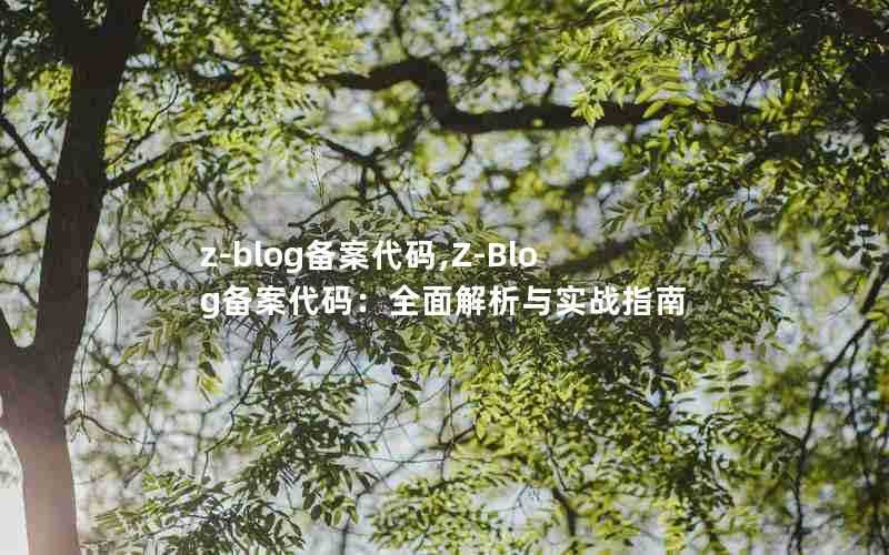 z-blog备案代码,Z-Blog备案代码：全面解析与实战指南