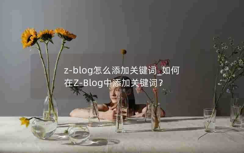 z-blog怎么添加关键词_如何在Z-Blog中添加关键词？