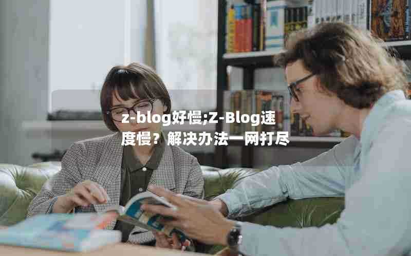 z-blog好慢;Z-Blog速度慢？解决办法一网打尽