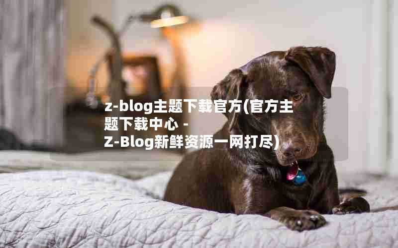 z-blog主题下载官方(官方主题下载中心-Z-Blog新鲜资源一网打尽)