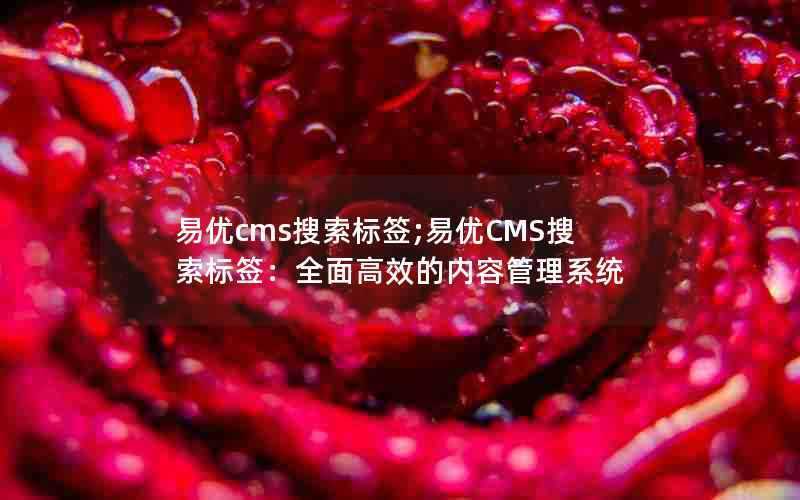 易优cms搜索标签;易优CMS搜索标签：全面高效的内容管理系统