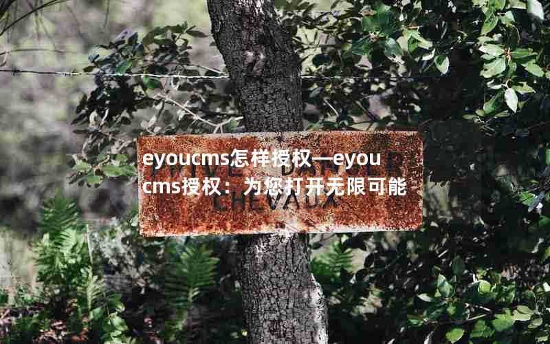 eyoucms怎样授权—eyoucms授权：为您打开无限可能