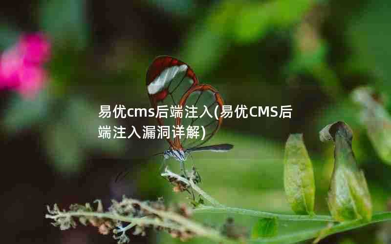 易优cms后端注入(易优CMS后端注入漏洞详解)