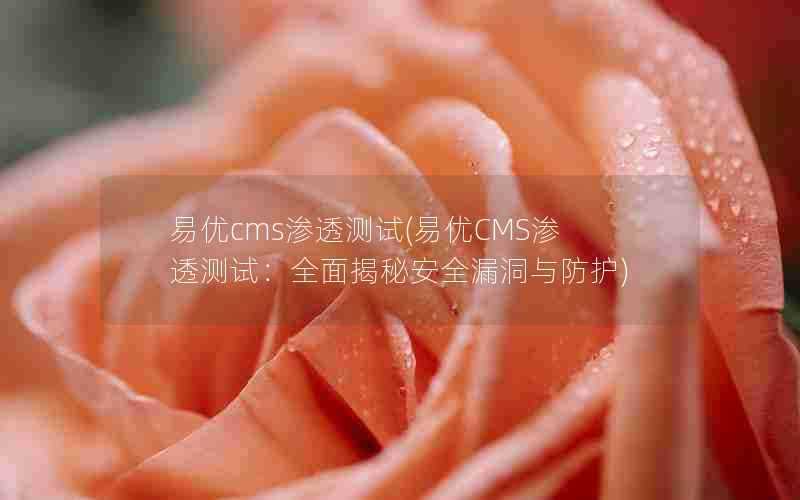 易优cms渗透测试(易优CMS渗透测试：全面揭秘安全漏洞与防护)