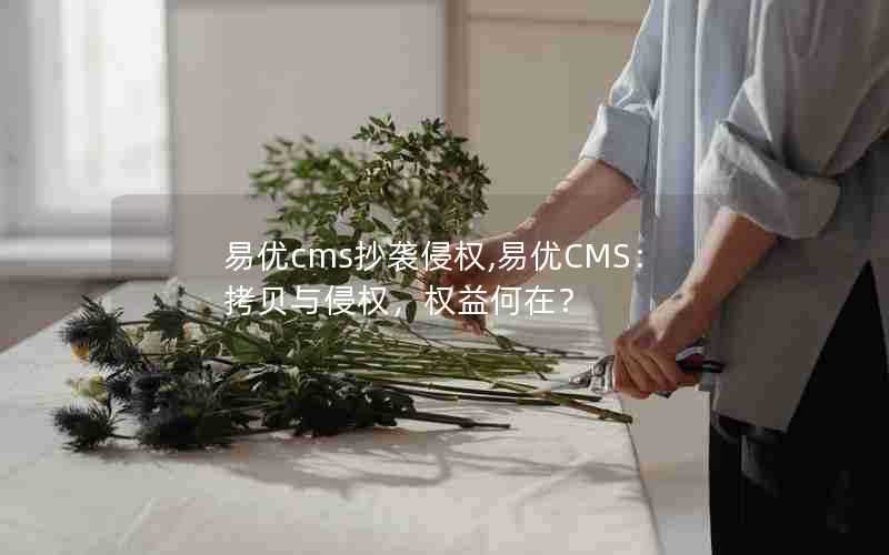 易优cms抄袭侵权,易优CMS：拷贝与侵权，权益何在？