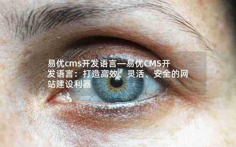 易优cms开发语言—易优CMS开发语言：打造高效、灵活、安全的网站建设利器