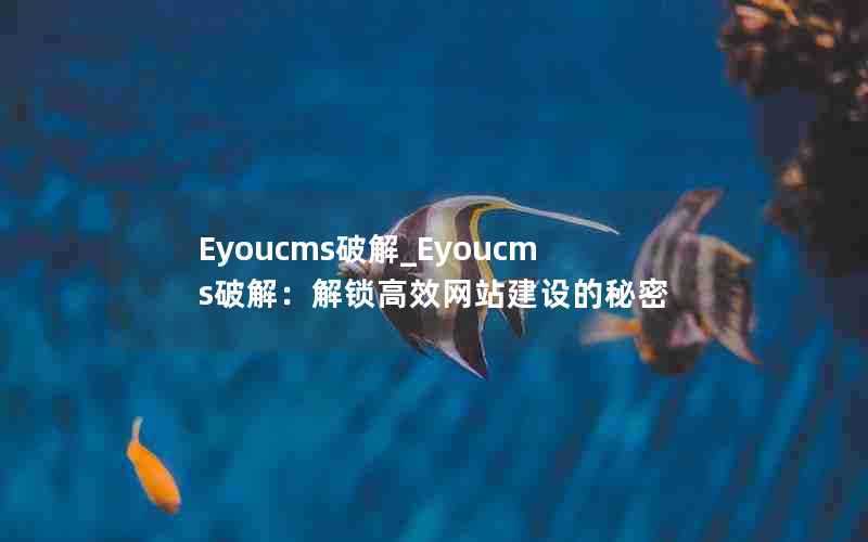 Eyoucms破解_Eyoucms破解：解锁高效网站建设的秘密