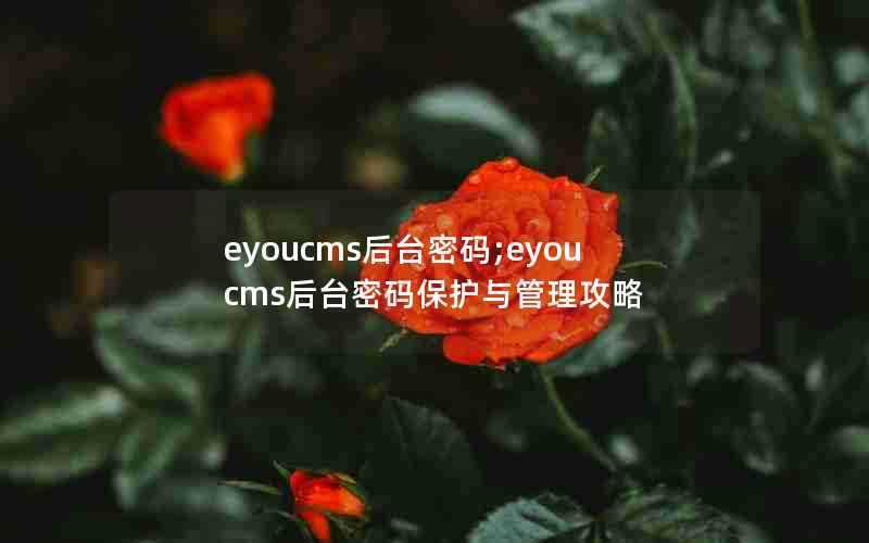 eyoucms后台密码;eyoucms后台密码保护与管理攻略