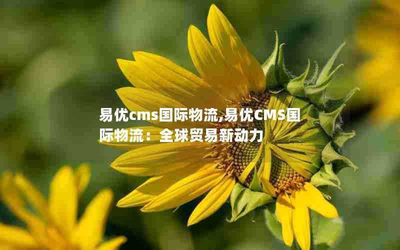 易优cms国际物流,易优CMS国际物流：全球贸易新动力