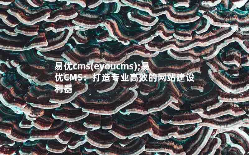 易优cms(eyoucms);易优CMS：打造专业高效的网站建设利器