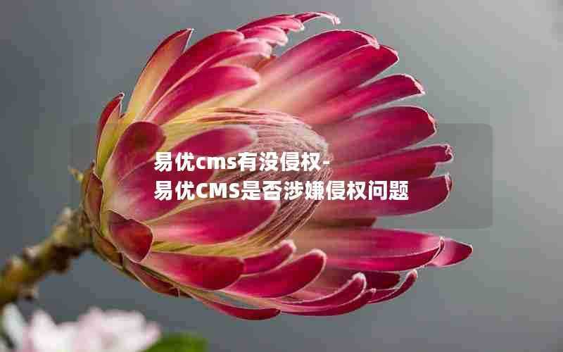 易优cms有没侵权-易优CMS是否涉嫌侵权问题