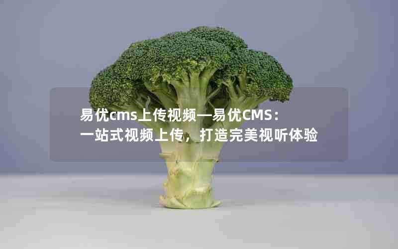 易优cms上传视频—易优CMS：一站式视频上传，打造完美视听体验