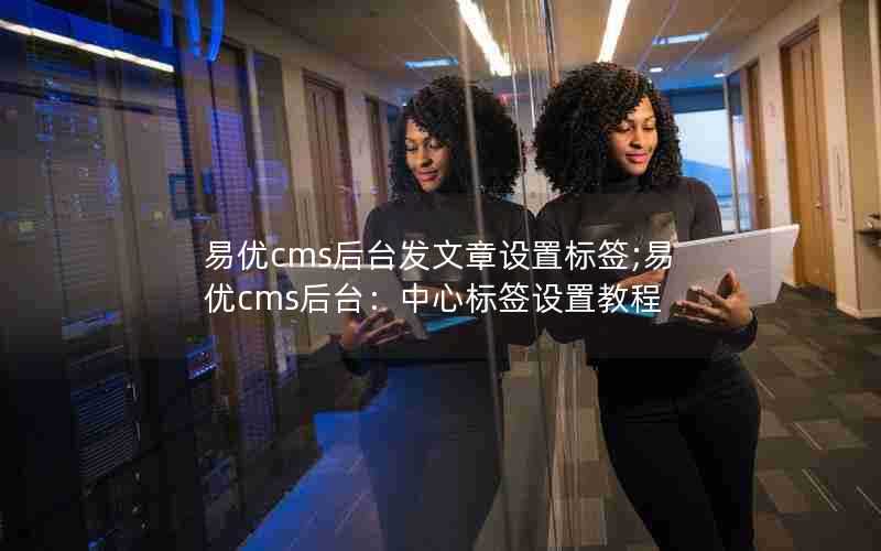 易优cms后台发文章设置标签;易优cms后台：中心标签设置教程