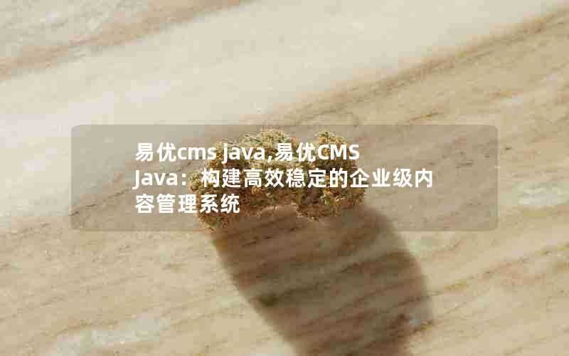 易优cmsjava,易优CMSJava：构建高效稳定的企业级内容管理系统