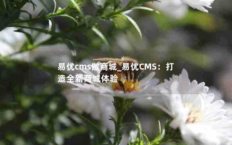 易优cms做商城_易优CMS：打造全新商城体验