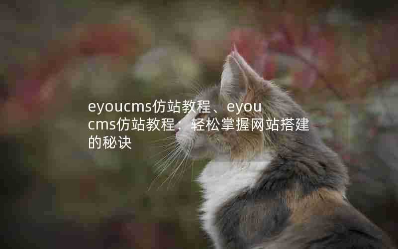 eyoucms仿站教程、eyoucms仿站教程：轻松掌握网站搭建的秘诀