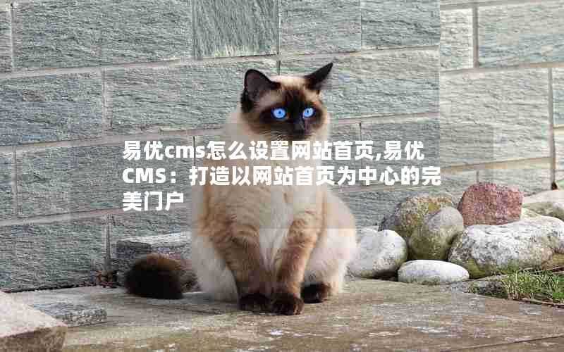 易优cms怎么设置网站首页,易优CMS：打造以网站首页为中心的完美门户