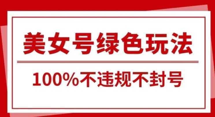 美女号引流变现新玩法，长期蓝海纯绿色，不封号不违规，每日收益500+