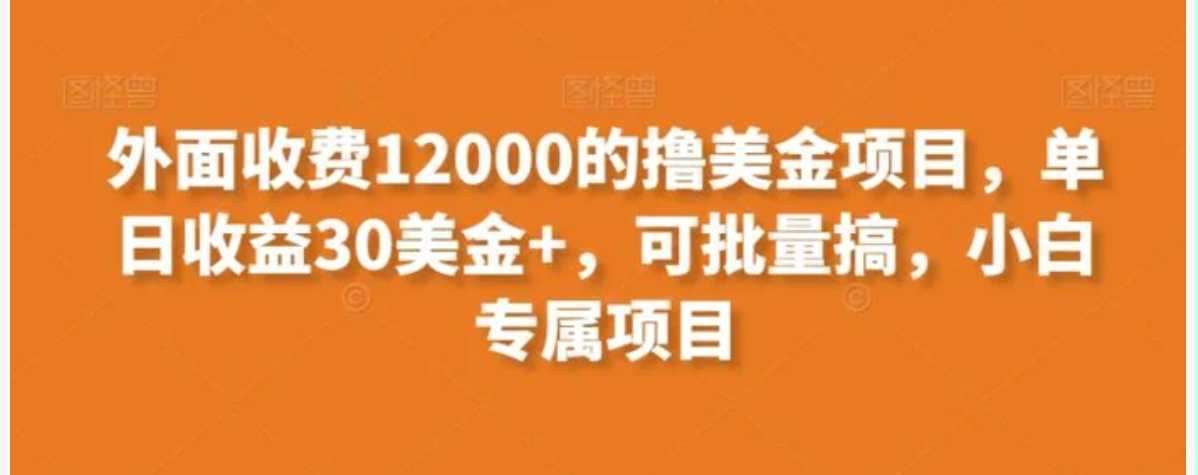 外面收费12000的撸美金项目，单日收益30美金+，可批量搞，小白专属项目