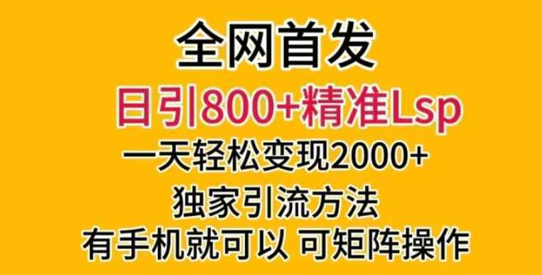 全网首发！日引800+精准老色批，一天变现2000+，独家引流方法，可矩阵操作【揭秘】