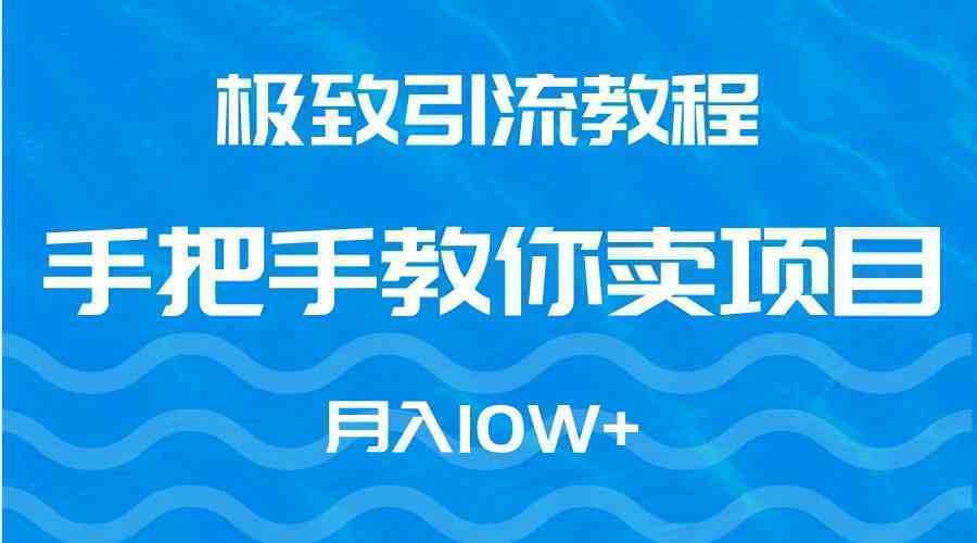 极致引流教程，手把手教你卖项目，月入10W+